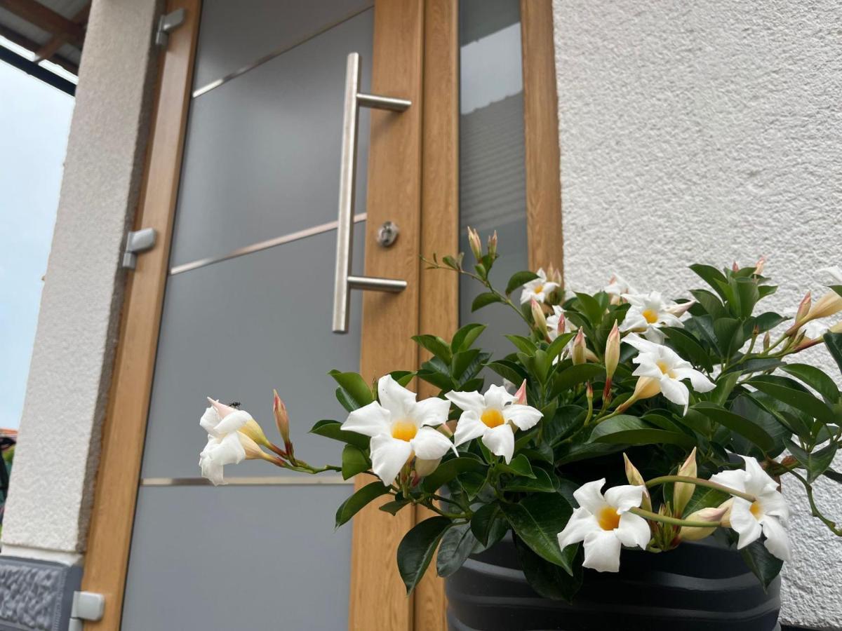 Apartman Mara Mala Subotica Εξωτερικό φωτογραφία
